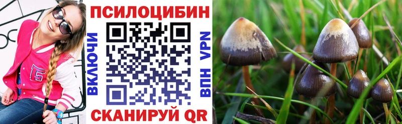 наркошоп  Зерноград  маркетплейс клад  Галлюциногенные грибы MAGIC MUSHROOMS 