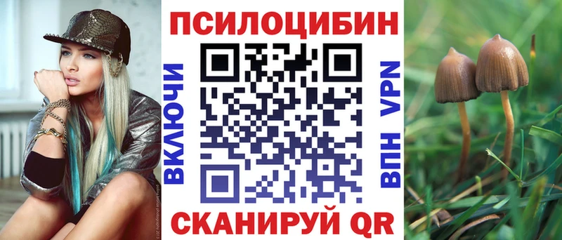 Псилоцибиновые грибы мицелий Зерноград