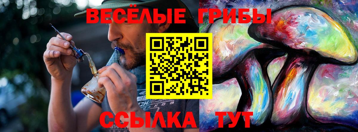 Псилоцибиновые грибы Magic Shrooms Зерноград