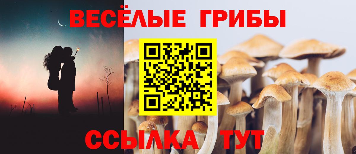 купить закладку  Вход с VPN  Зерноград  Галлюциногенные грибы ЛСД 